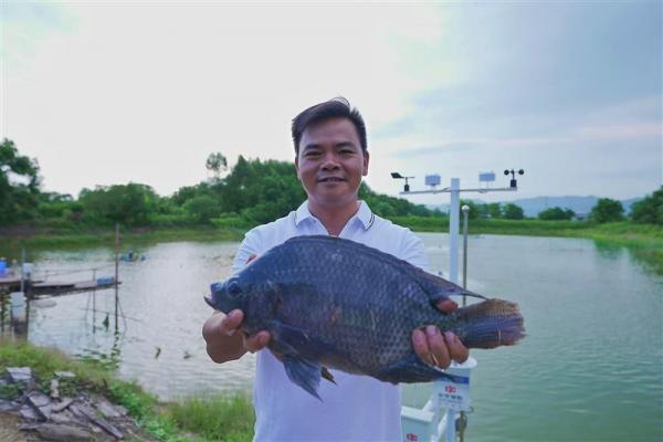 中華聯合旗下中華財險合作阿里云