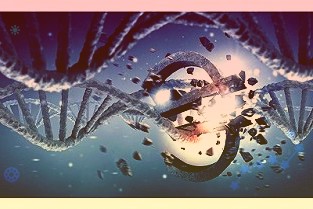 距離全資控股一步之遙!摩根士丹利擬對(duì)摩根證券增資10億元華鑫證券放棄增資權(quán)